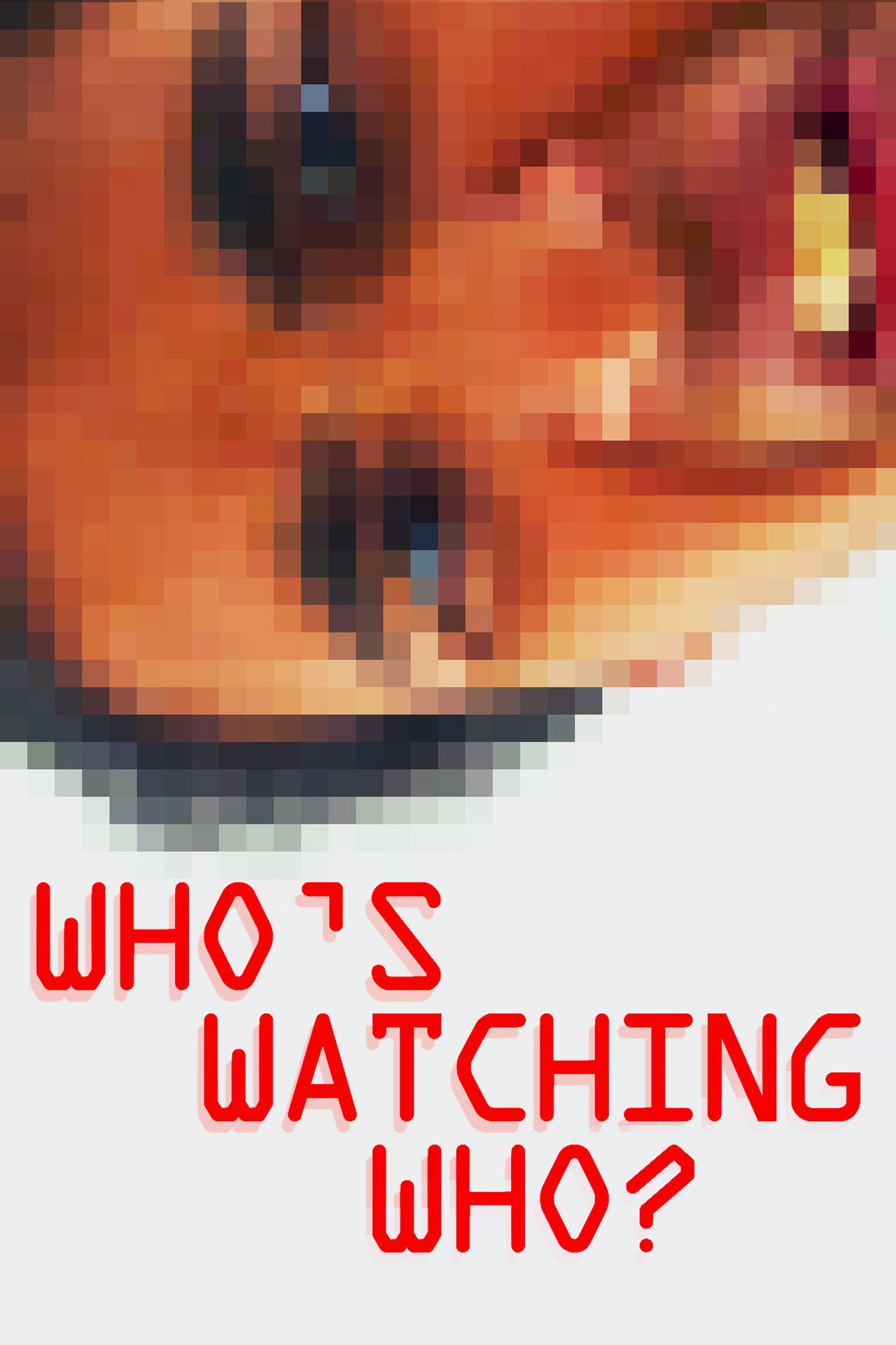 Who’s Watching Who? poster