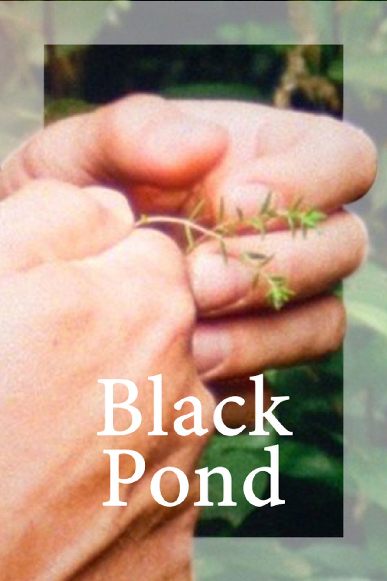 Black Pond filmaffisch