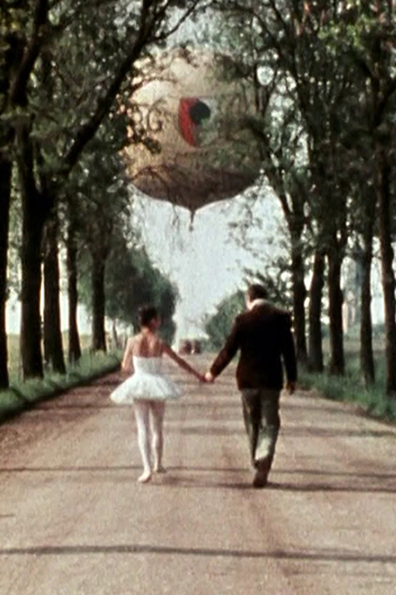 Morgenstimme Backdrop