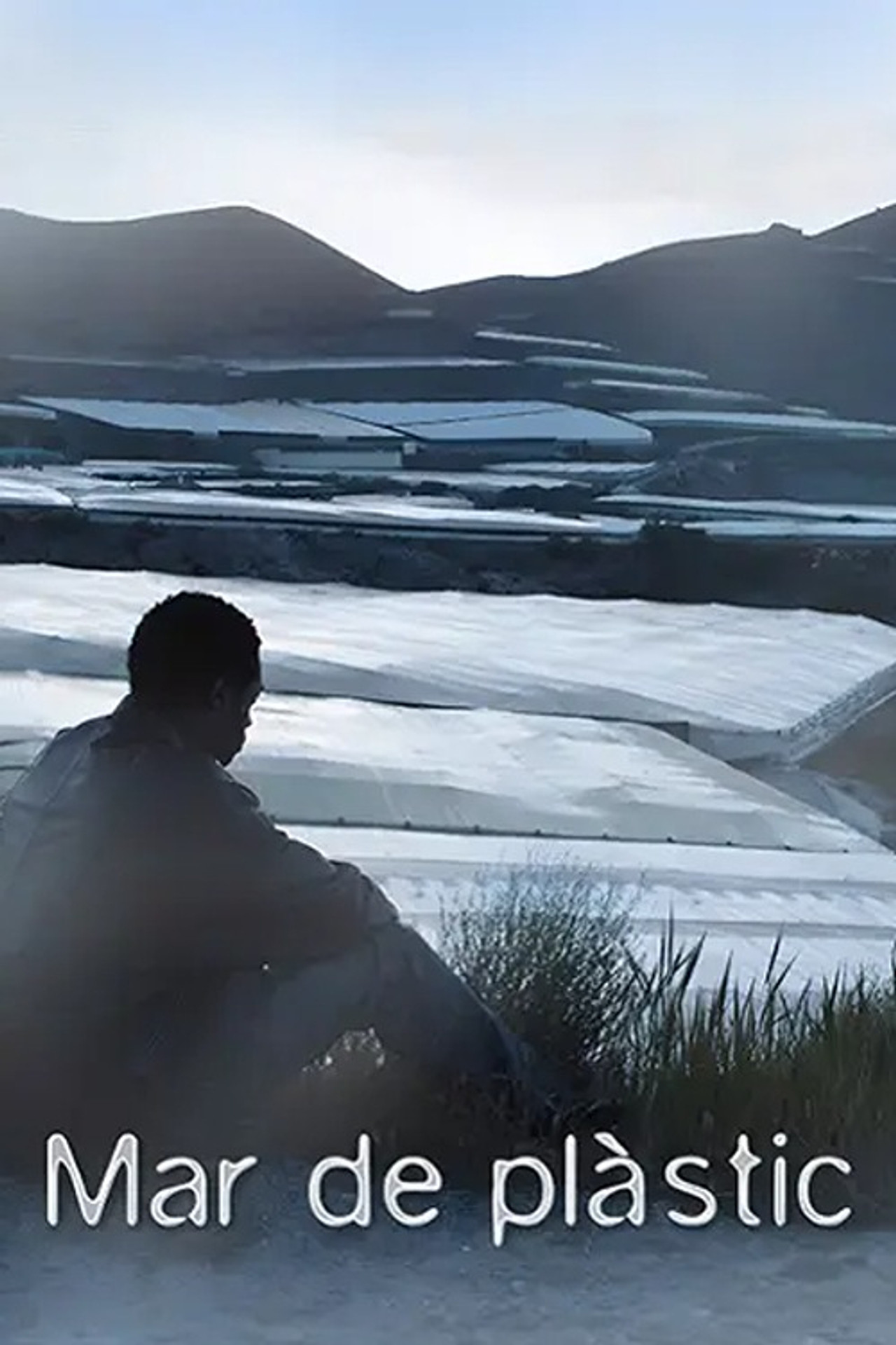 Mar de plástico Backdrop