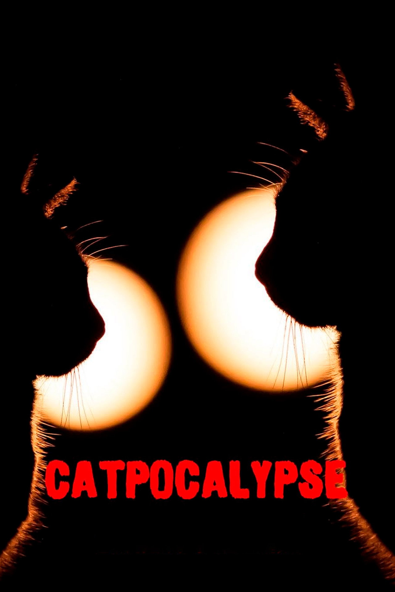 Catpocalypse