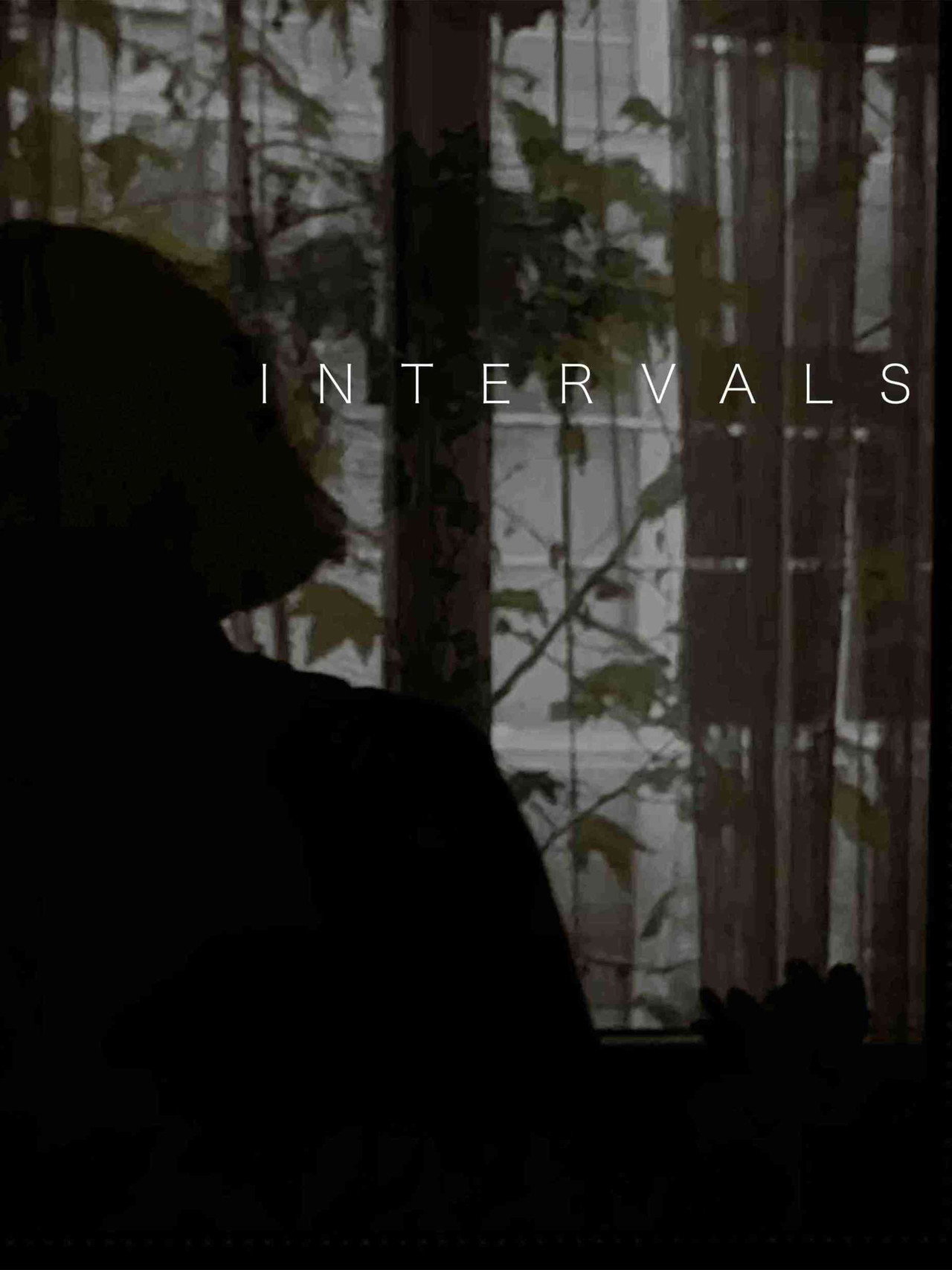 INTERVALS poster