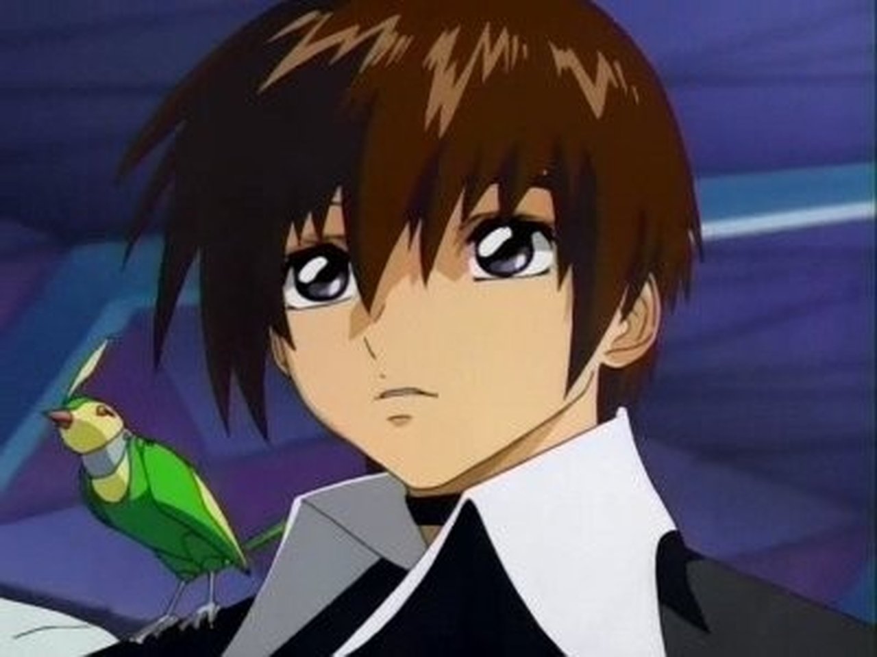 Mobile Suit Gundam SEED backdrop