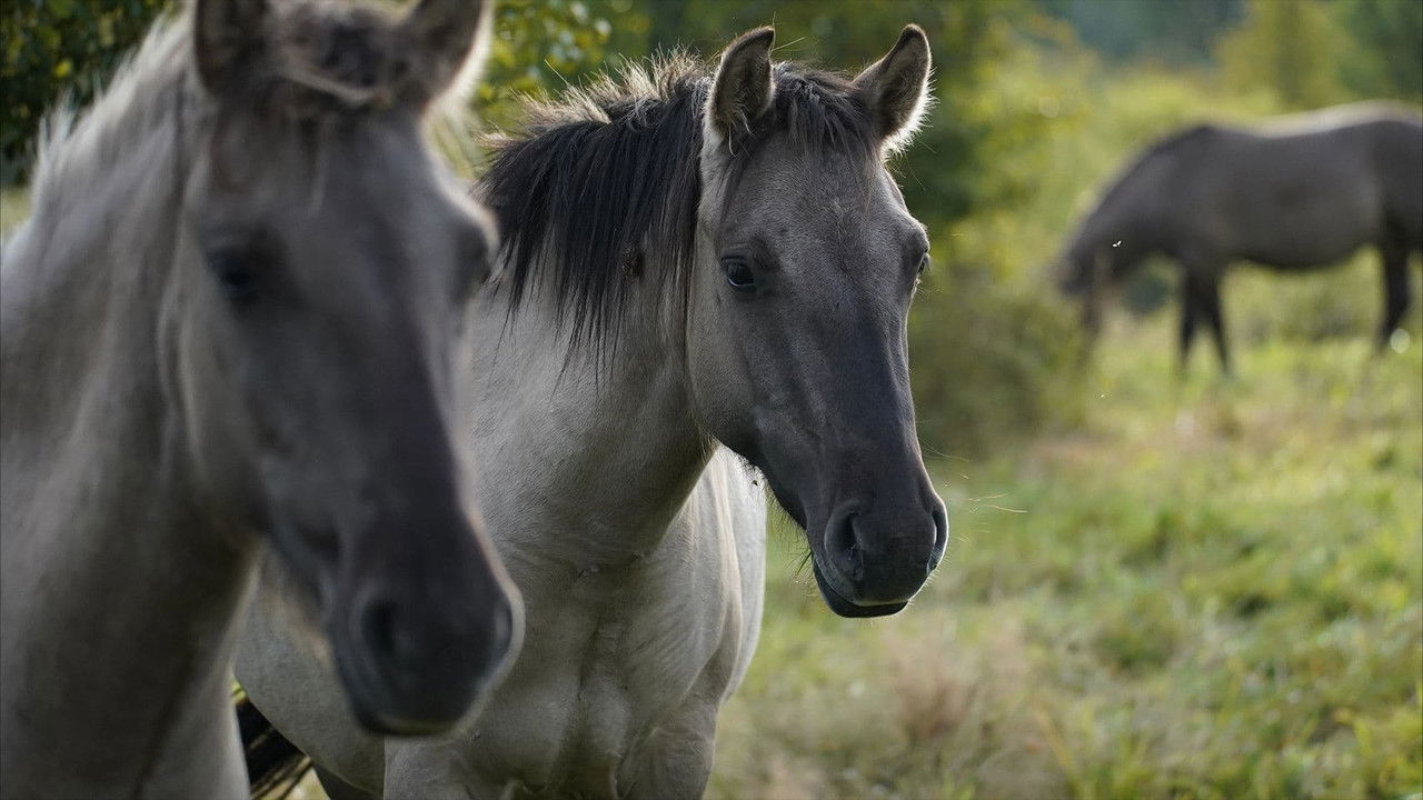 Hidden Wonders of Europe — Épisode 3