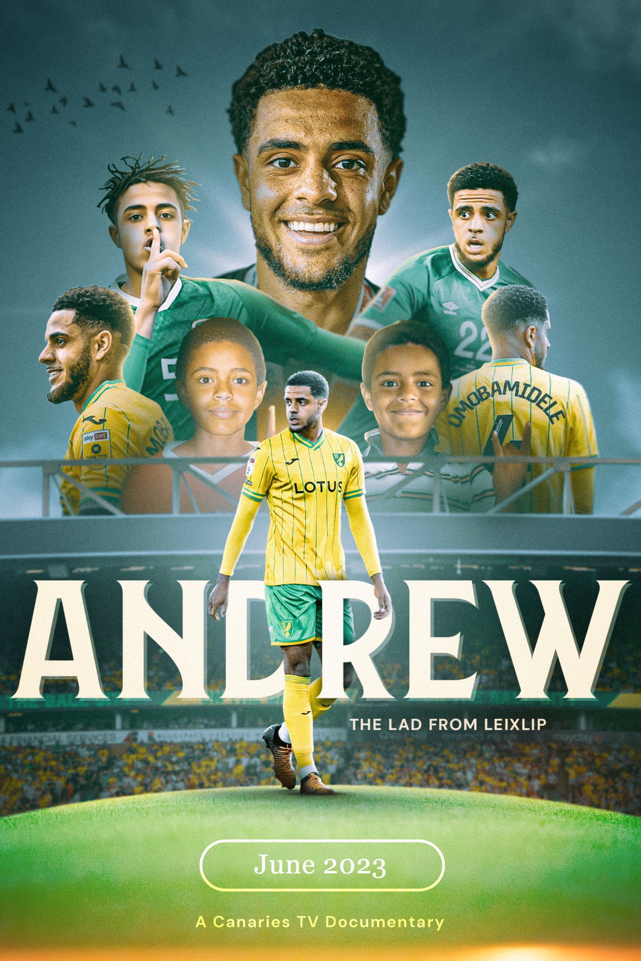 Andrew: The Lad from Leixlip poster