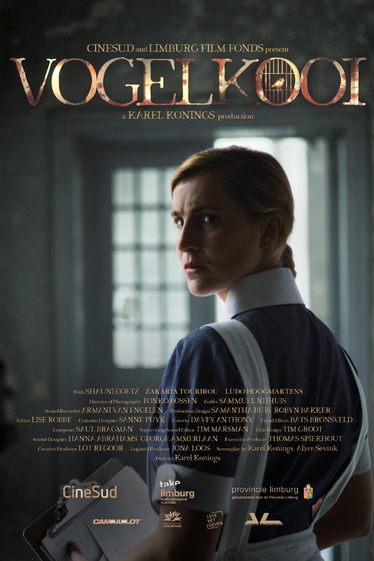 Vogelkooi filmaffisch