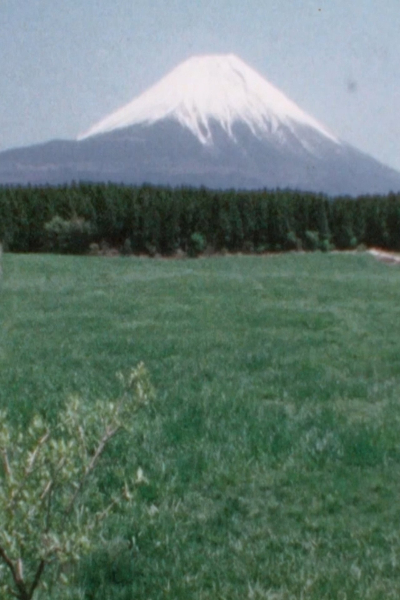 詩集 新しい人 HANA filmaffisch