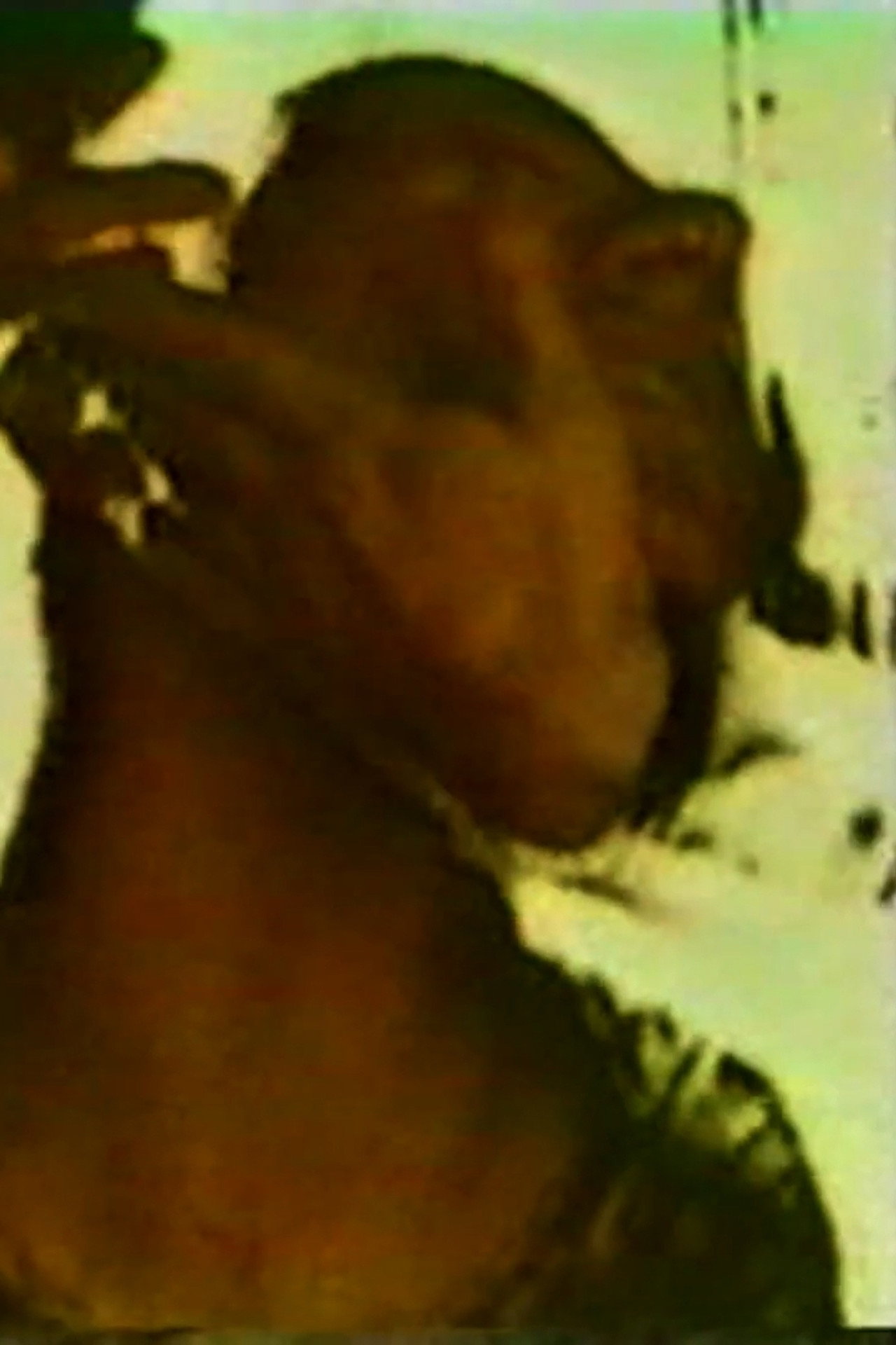 Razor Head filmaffisch