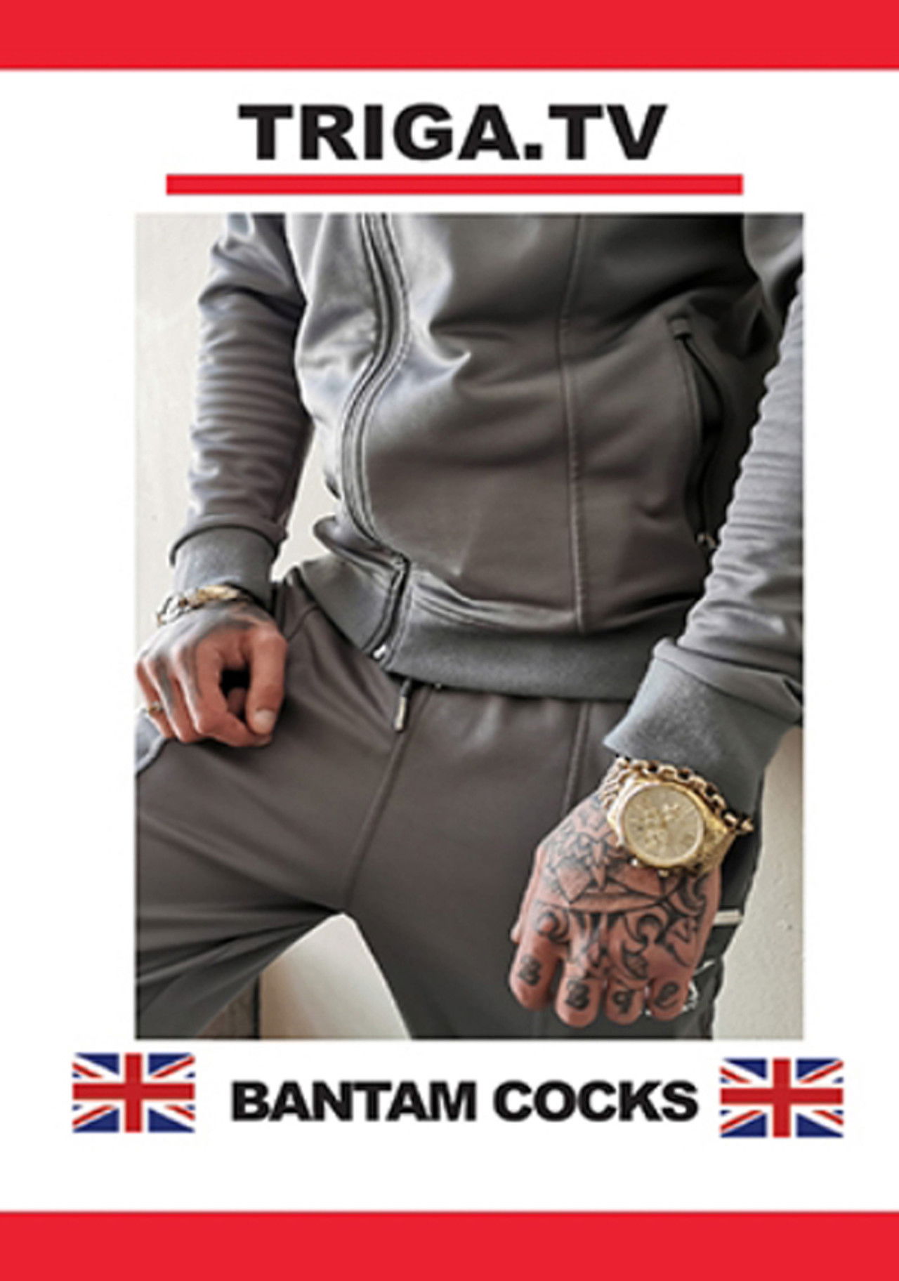 Bantam Cocks Backdrop