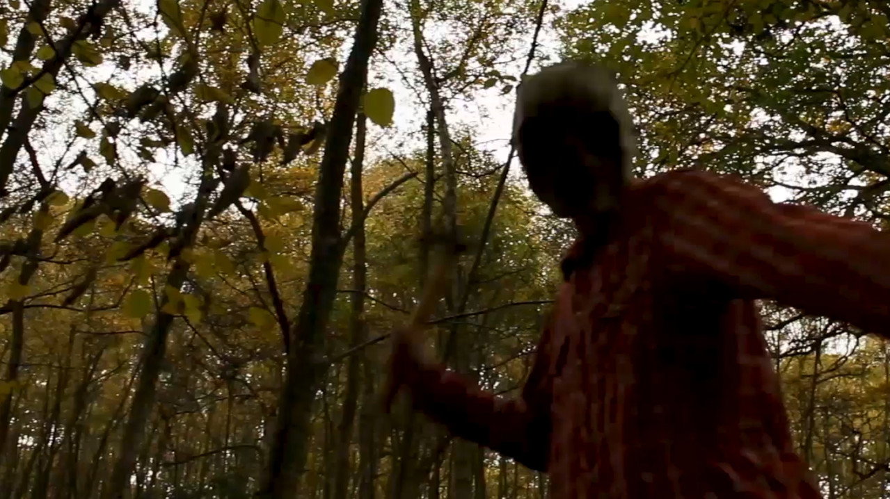 Hammerhead still 4