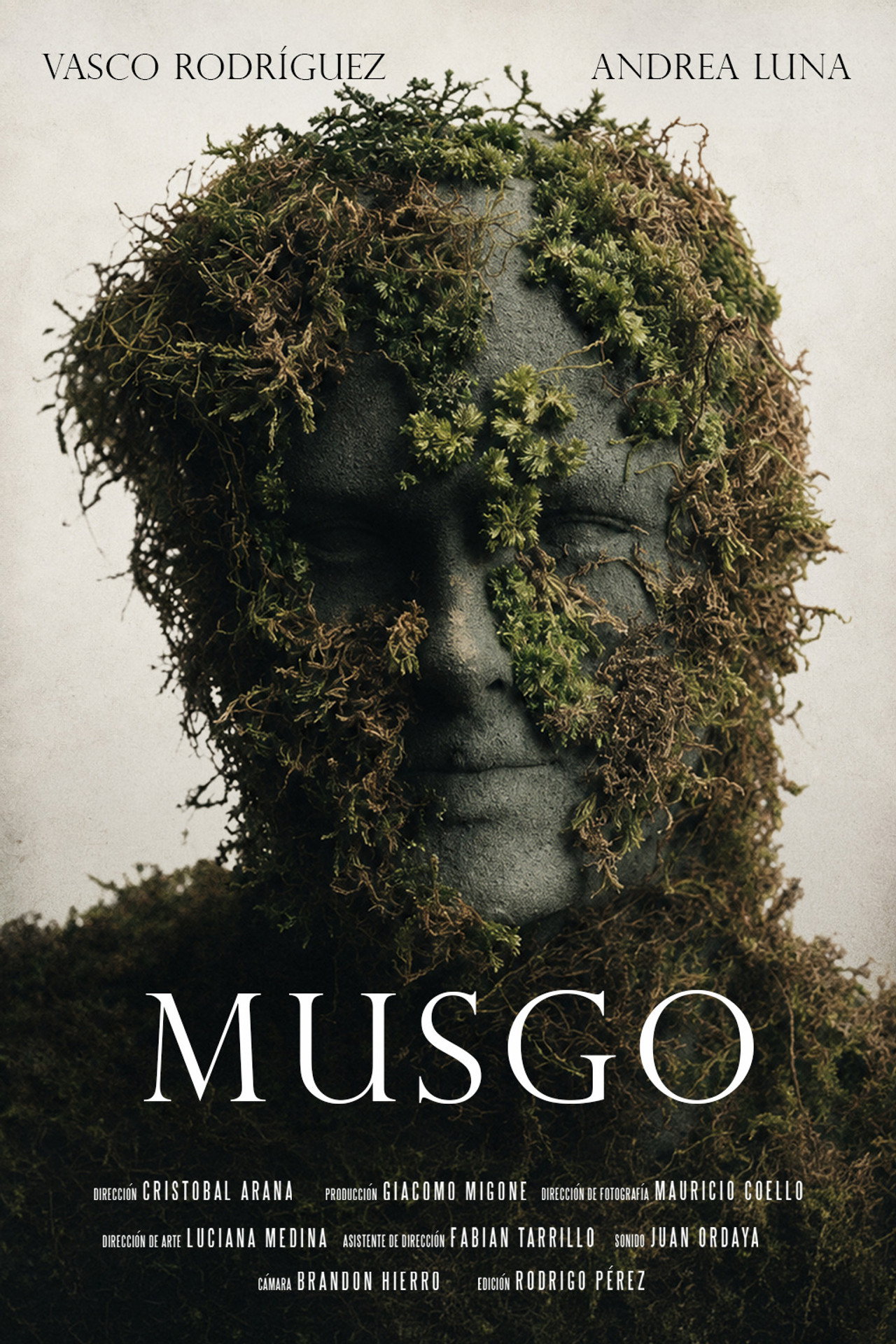 Musgo
