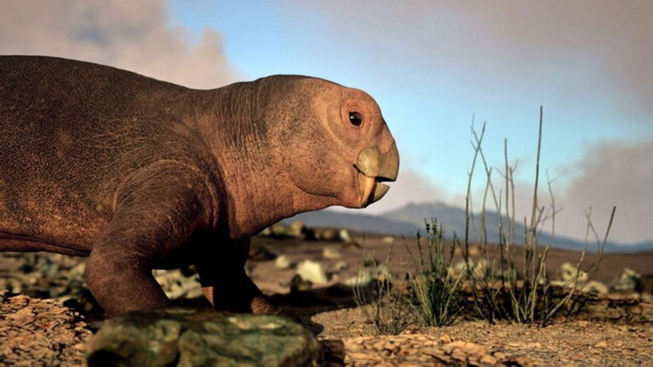 Science grand format — Aux origines des mammifères, le monde avant les dinosaures