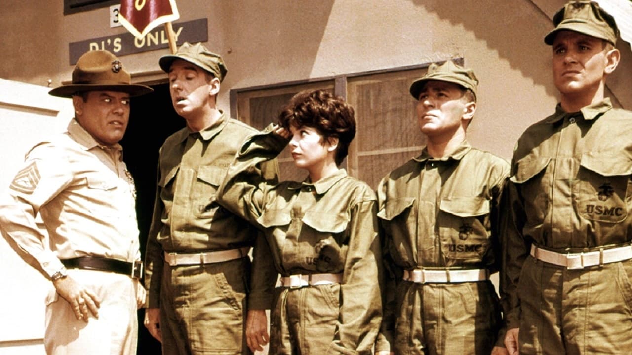 Cast and Crew of Gomer Pyle, U.S.M.C.