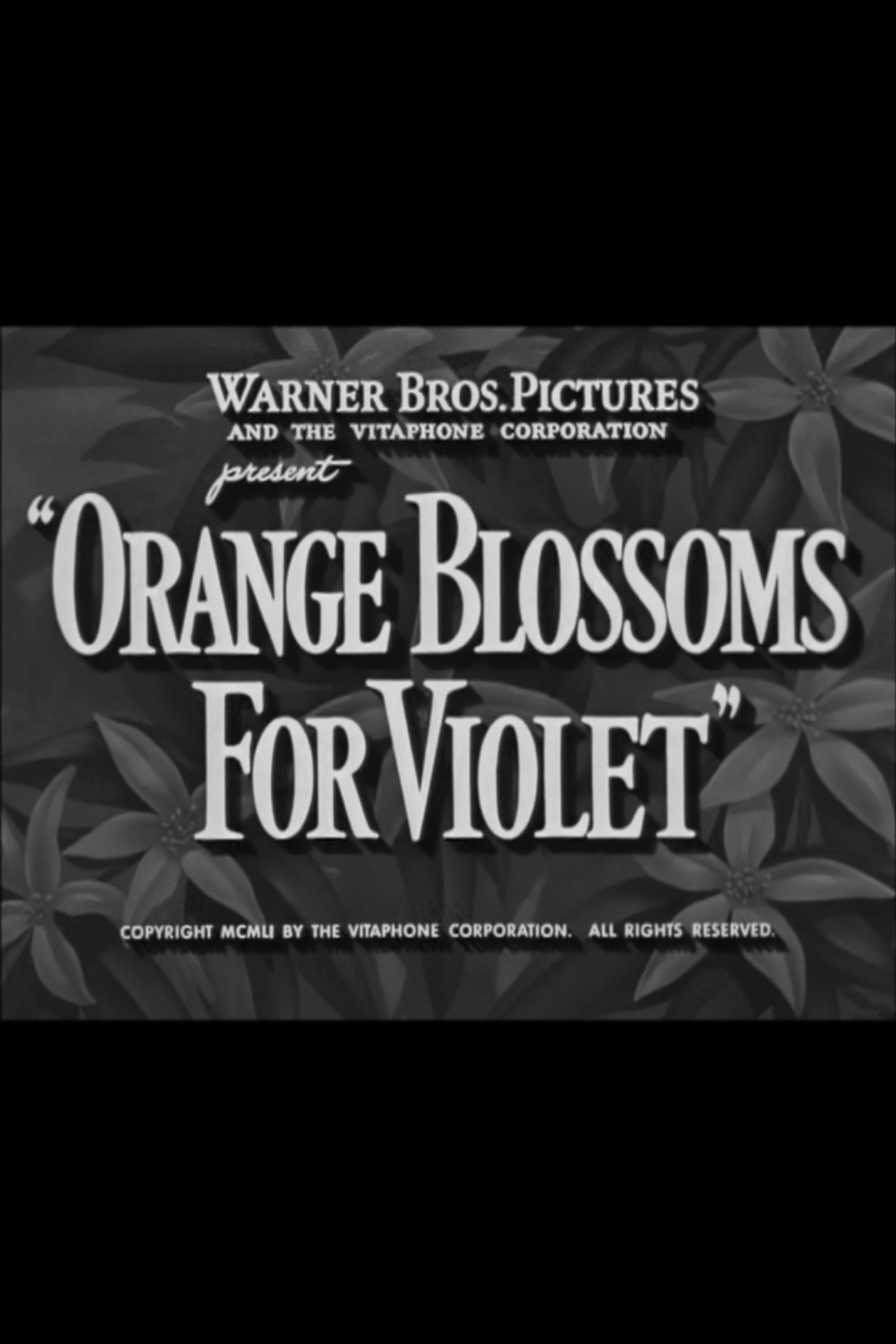 Orange Blossoms for Violet Backdrop