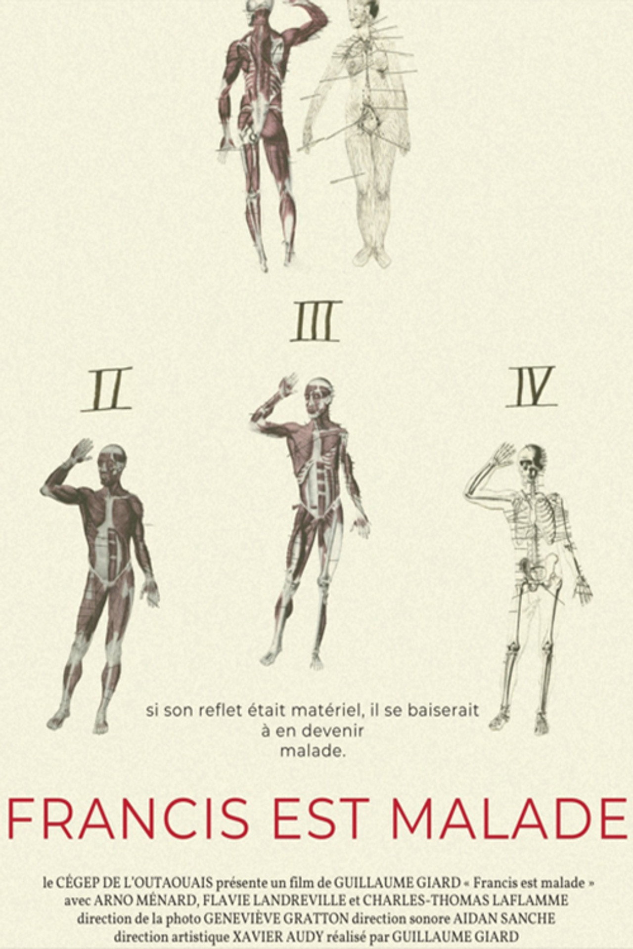 Francis is sick Backdrop