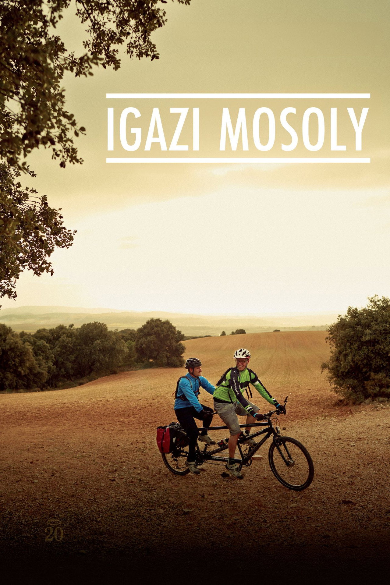 Igazi mosoly – plakát 5