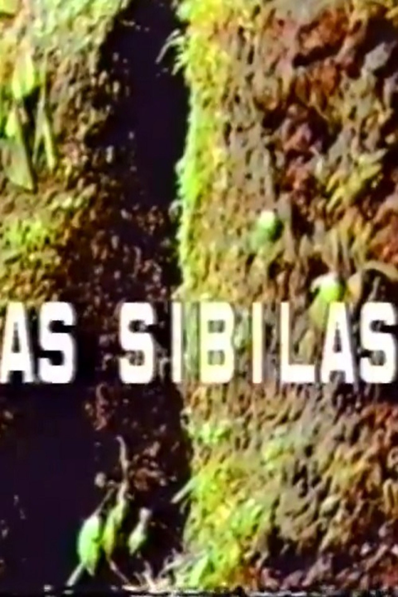 As Sibilas filmaffisch