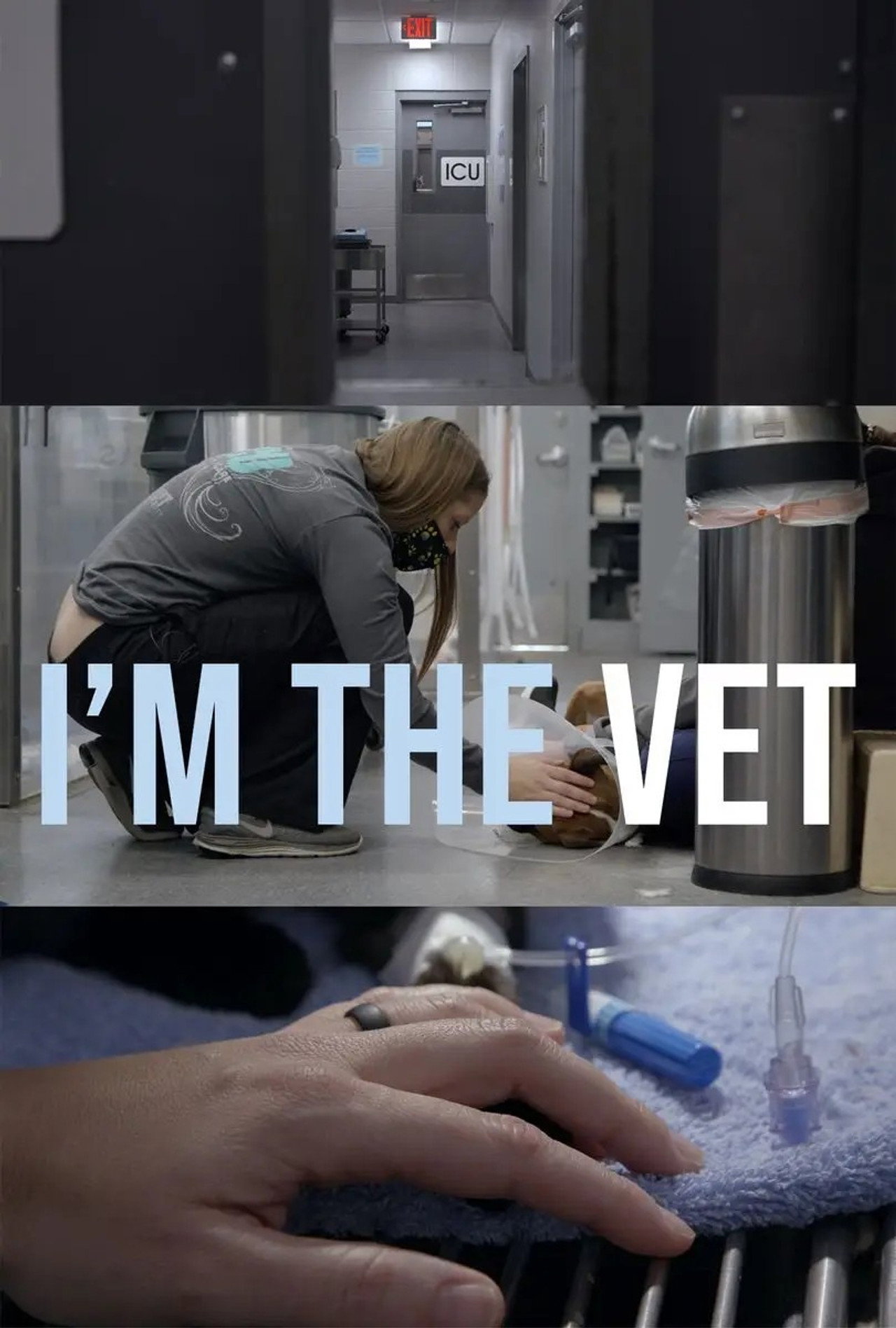 I'm the Vet poster