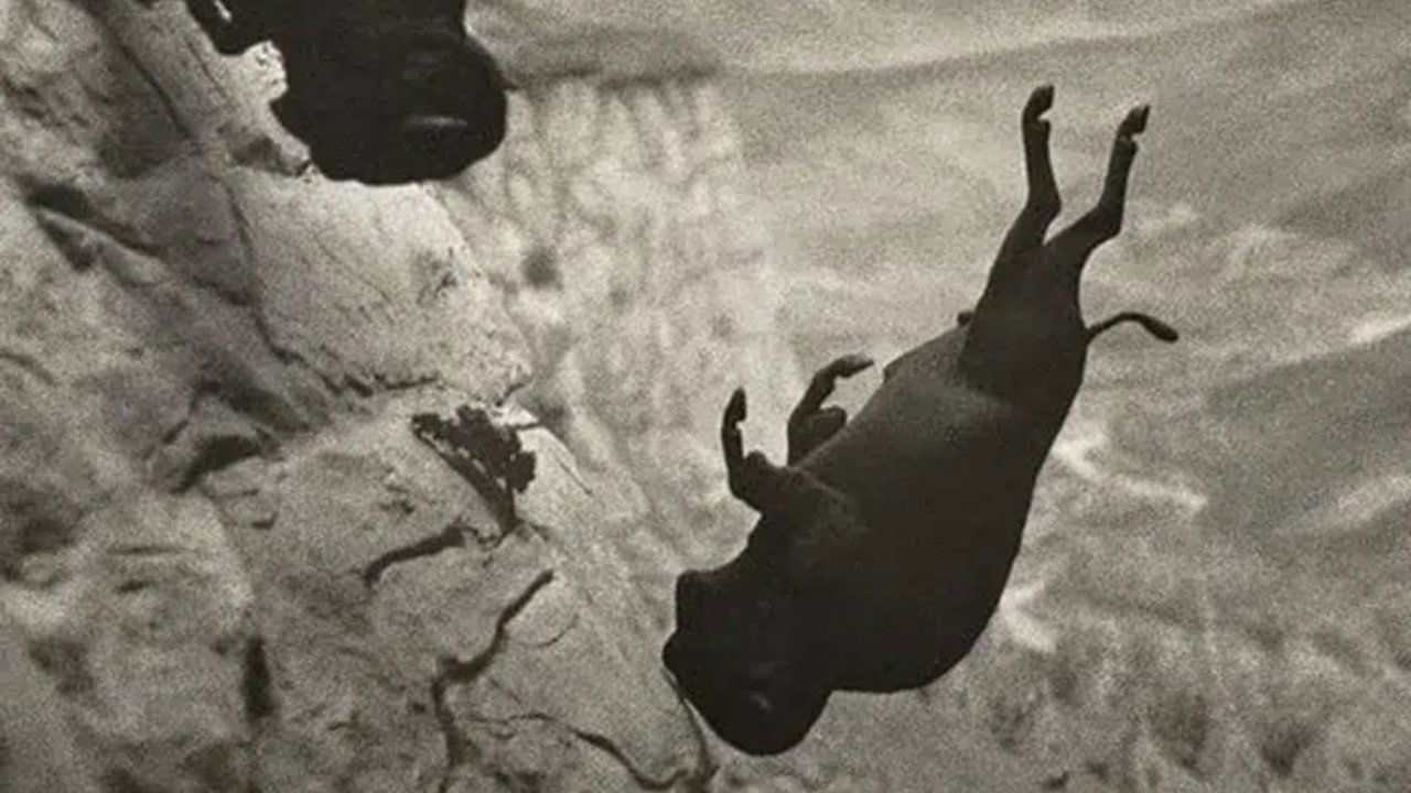title image