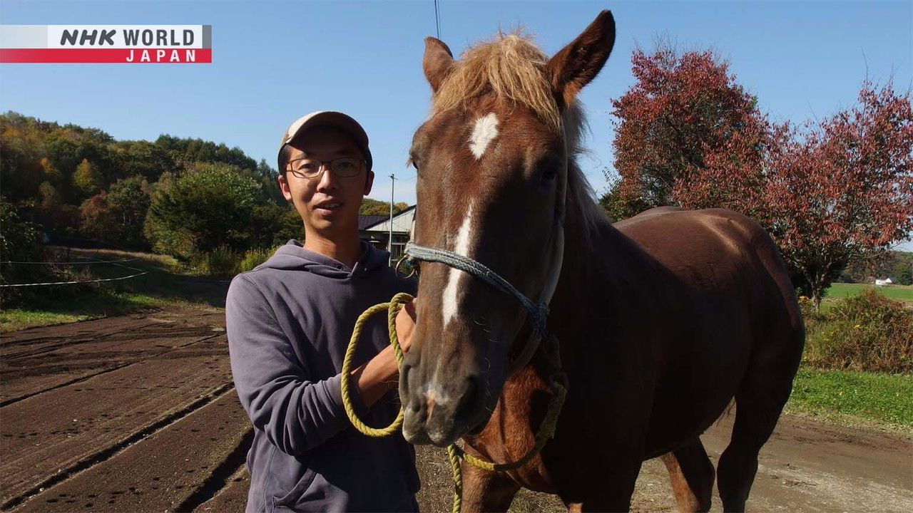 Chasing a Dream With a Horse