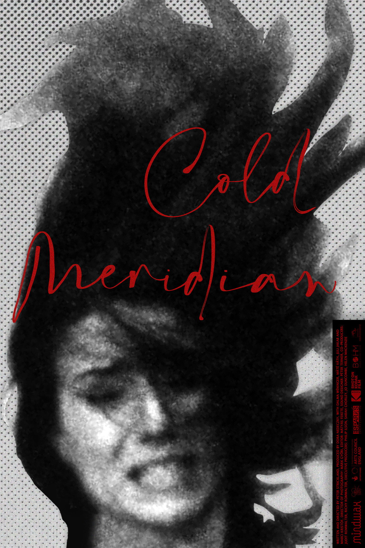 Cold Meridian – plakát 3