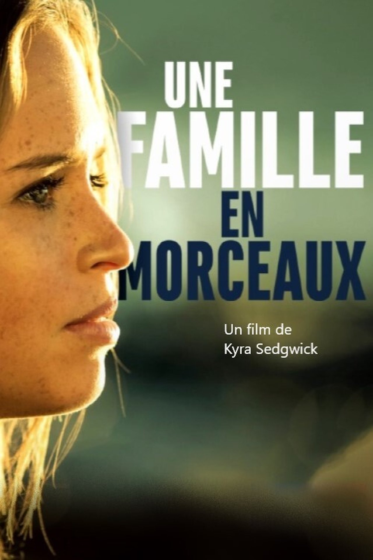 Une famille en morceaux poster