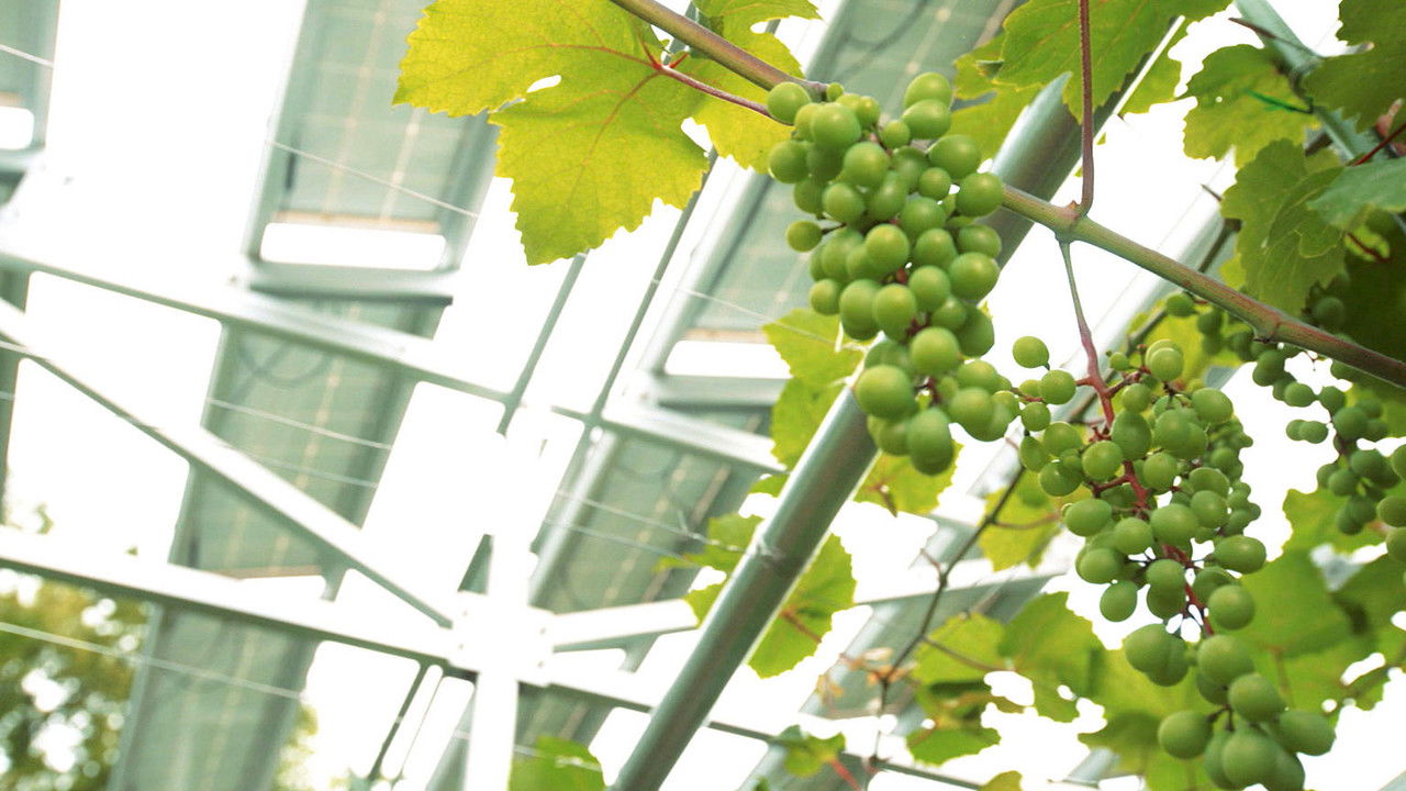 100 Ideas to Save the World — Épisode 1