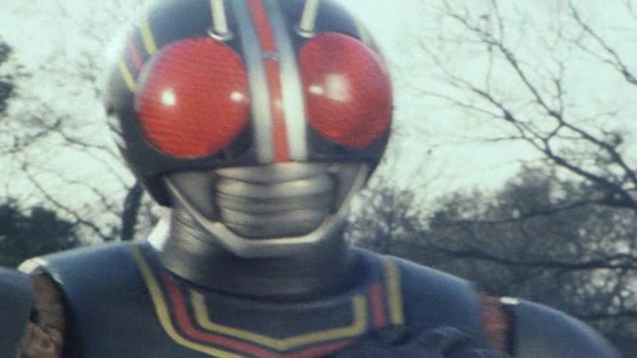 Kamen Rider - Season 8 Episode 18 : Sword Saint Birugenia!!