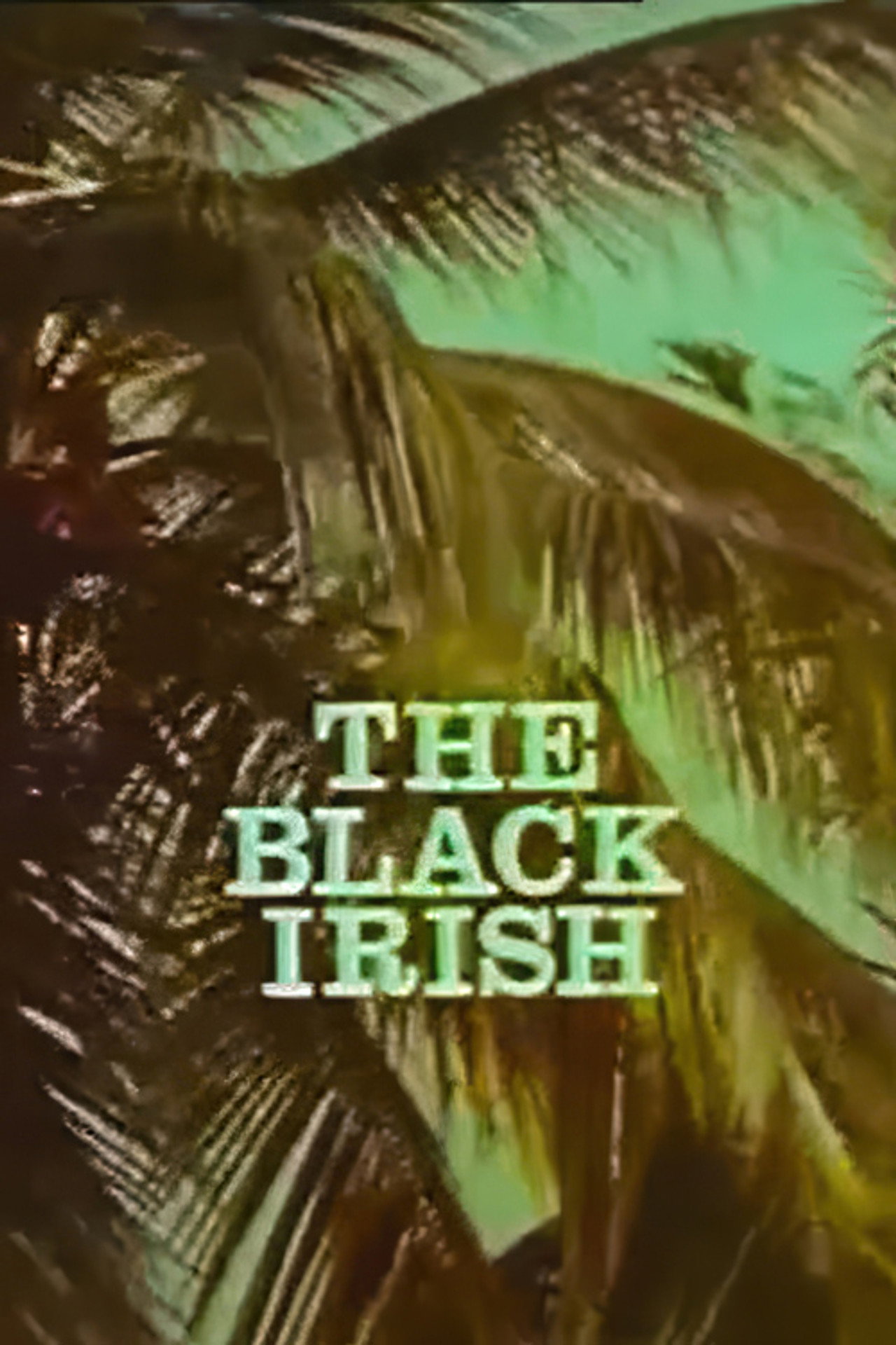Radharc: The Black Irish