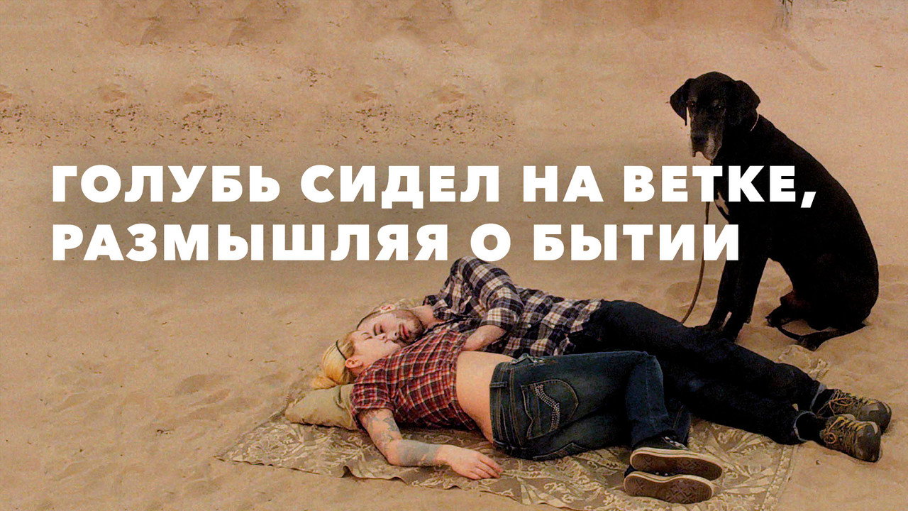 scenes 13