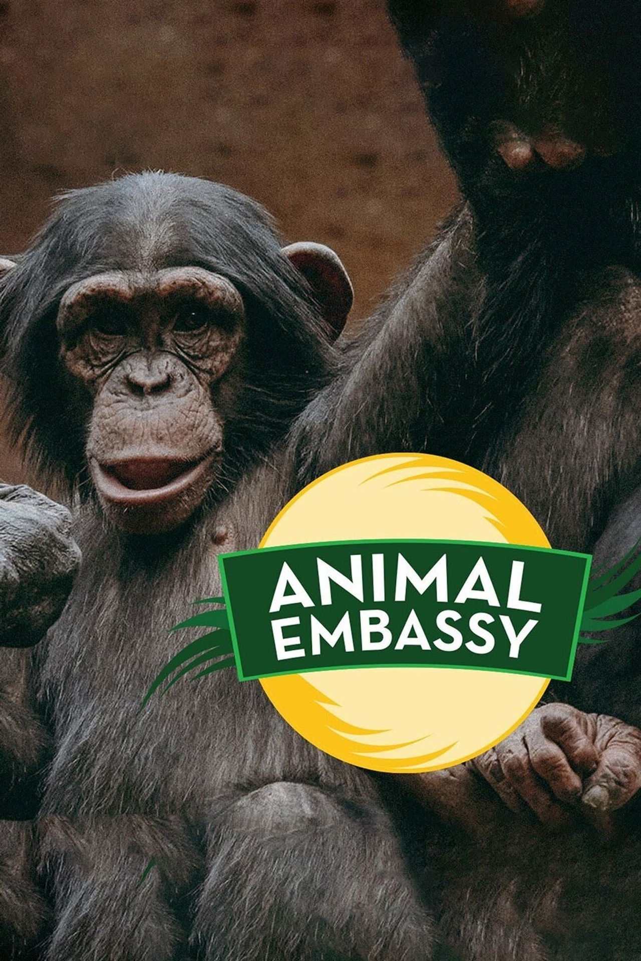 Animal Embassy poster