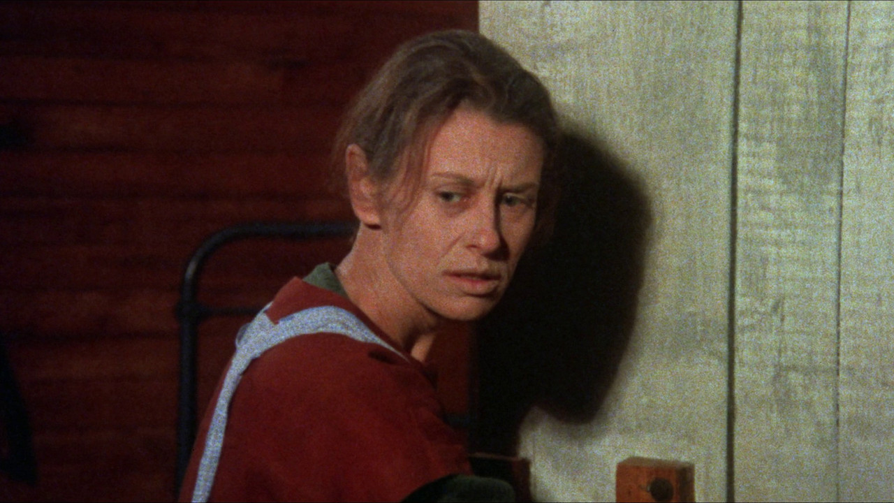 Memories Within Miss Aggie backdrop