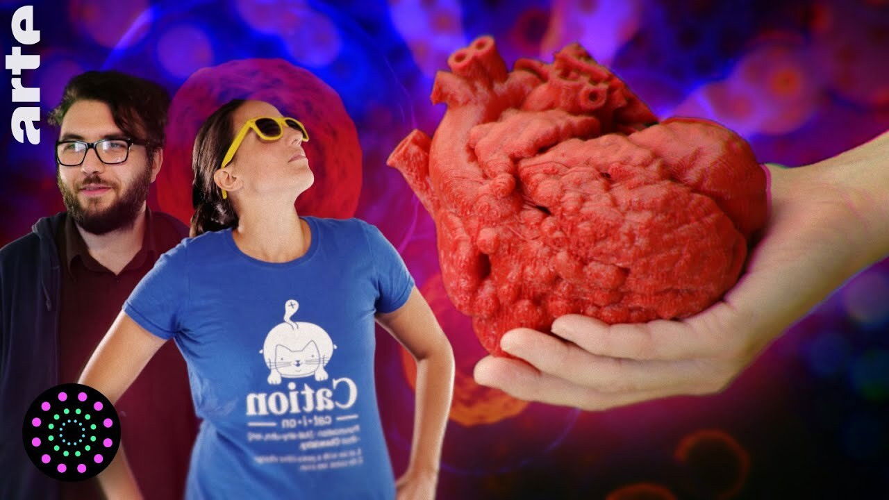 Le Vortex — Imprimer des organes ?!