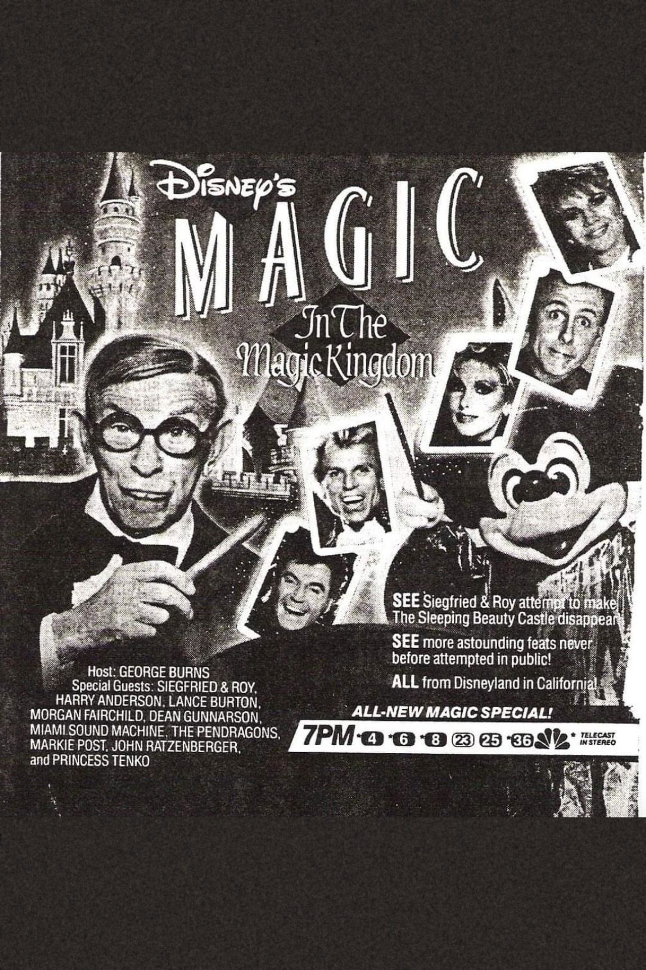 Disney's Magic in the Magic Kingdom