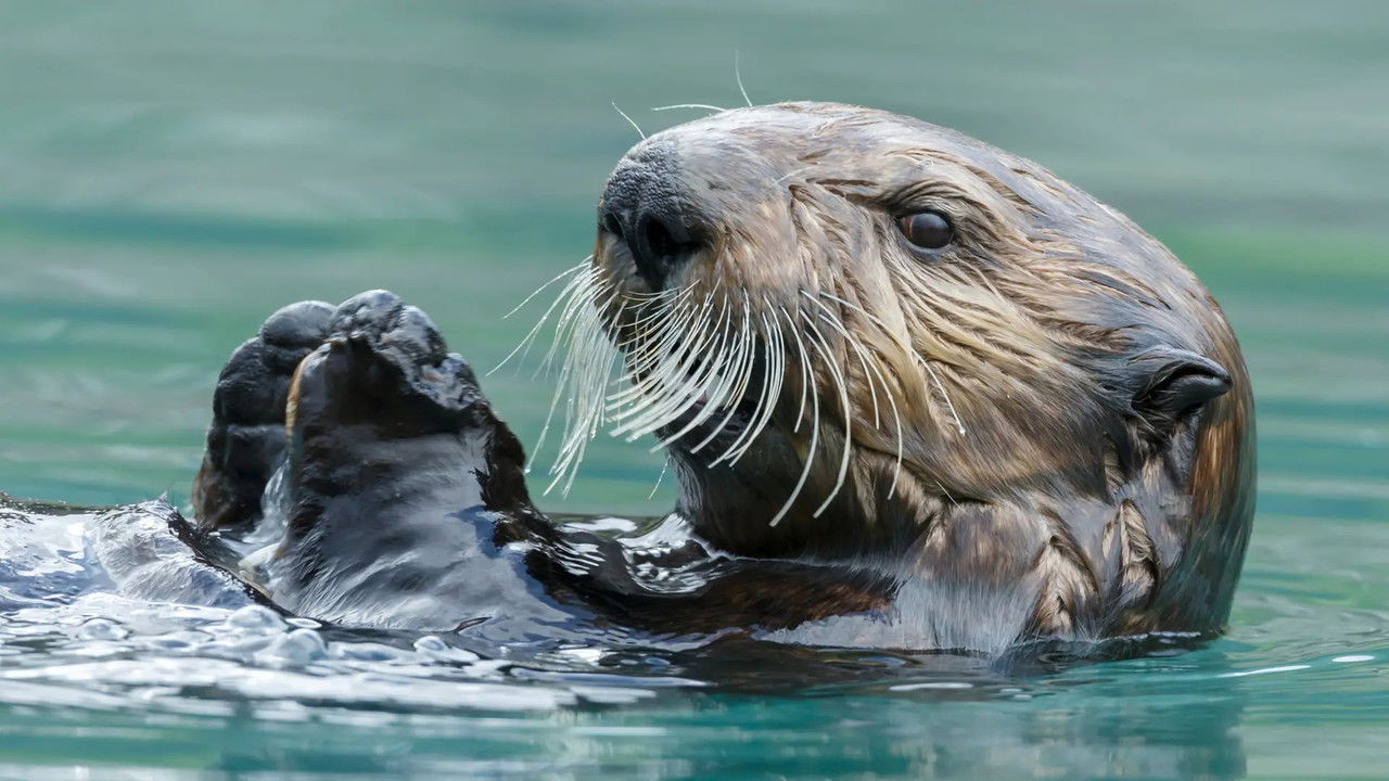 Just Animals — Épisode 3