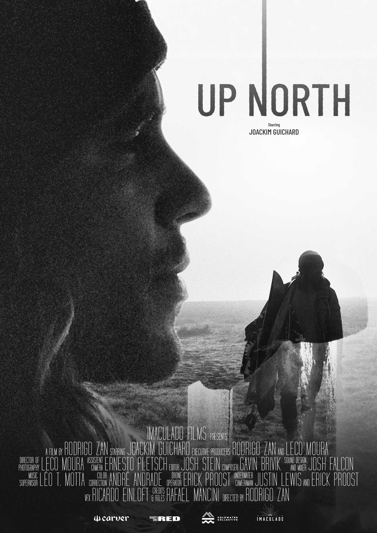 Up North filmaffisch