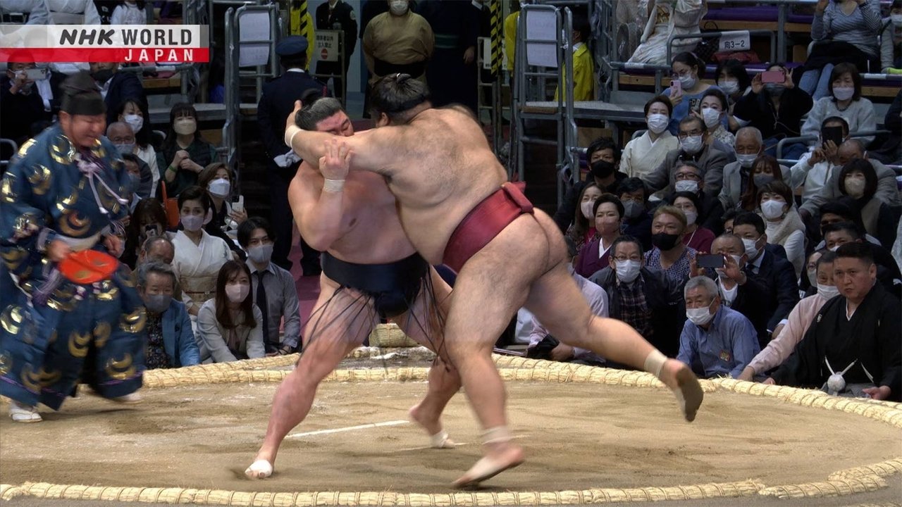 GRAND SUMO Highlights - Season 14 Episode 2 : Day 2