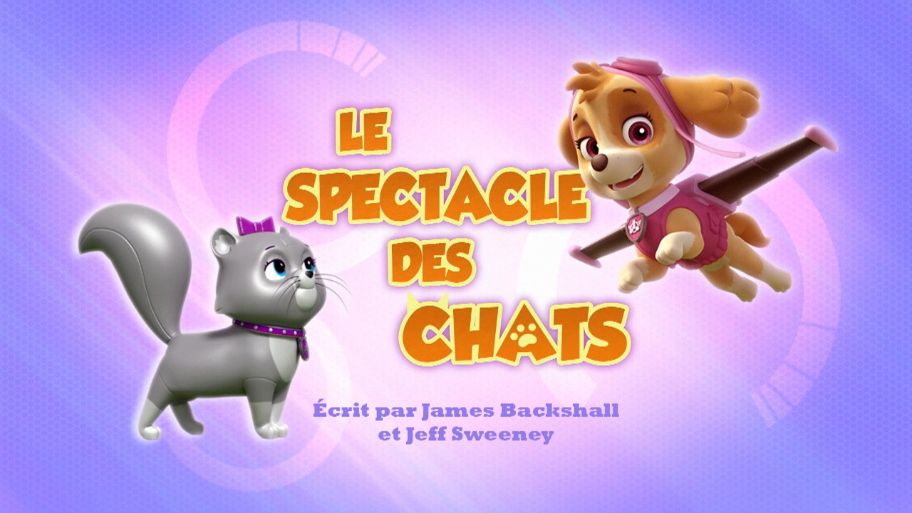Le Spectacle des chats