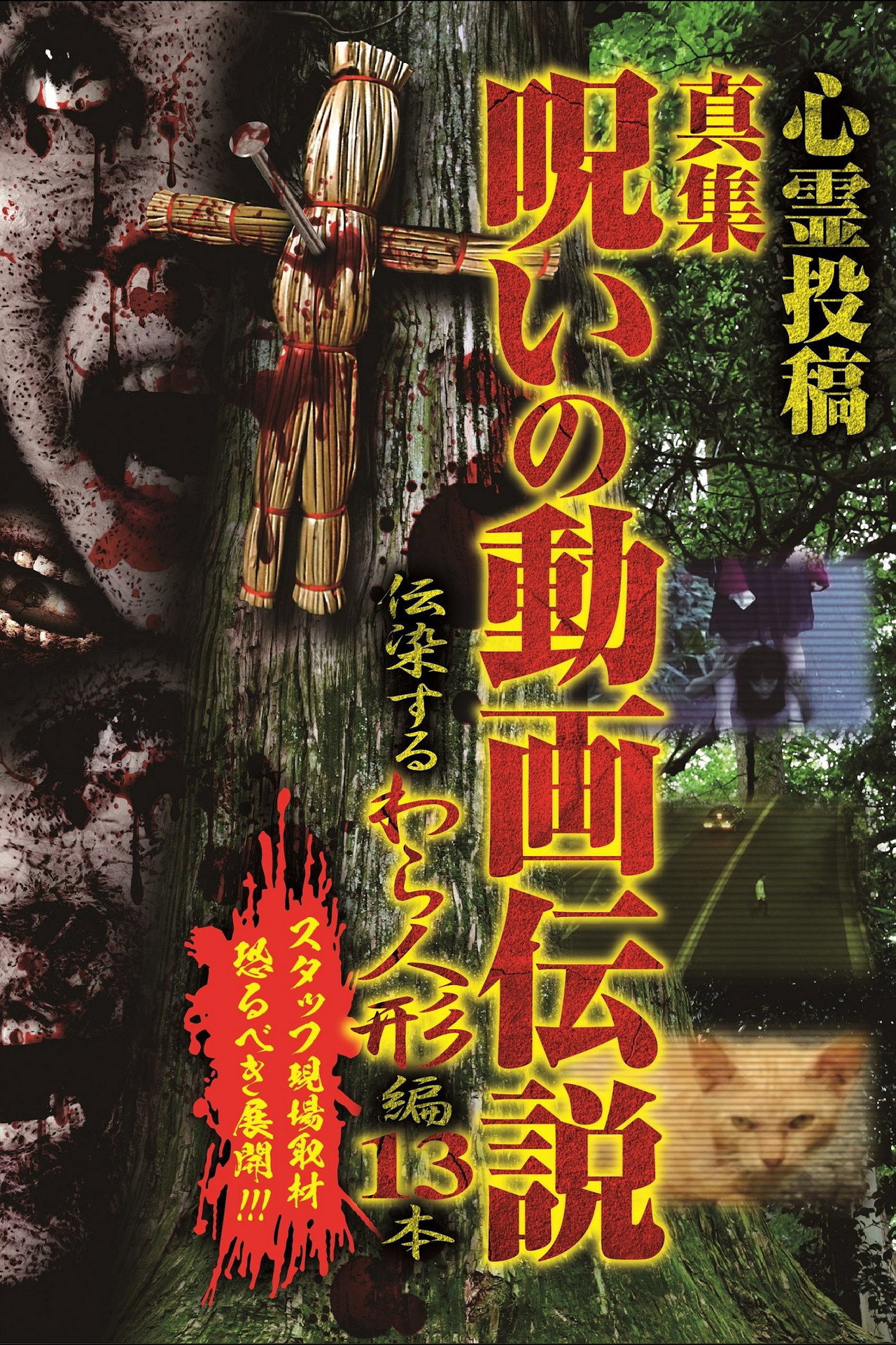 心霊投稿　真集　呪いの動画伝説　伝染するわら人形編　13本 filmaffisch
