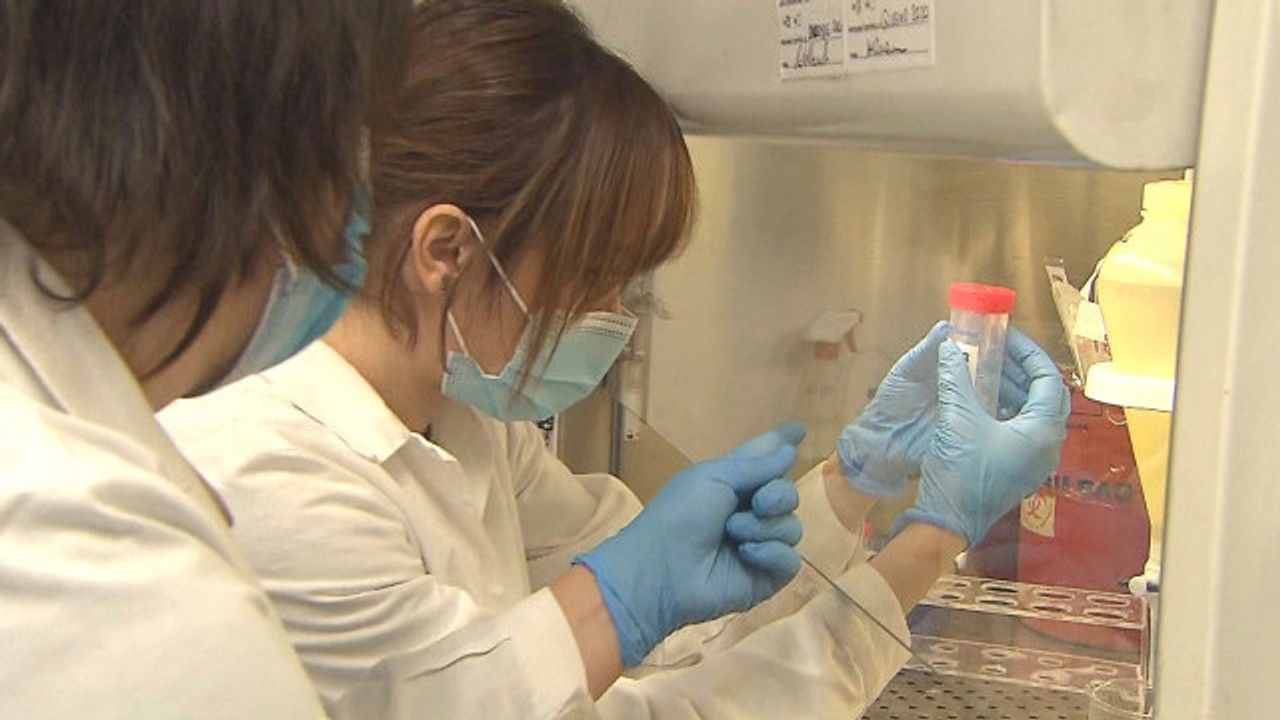 NHK Documentary — Épisode 8