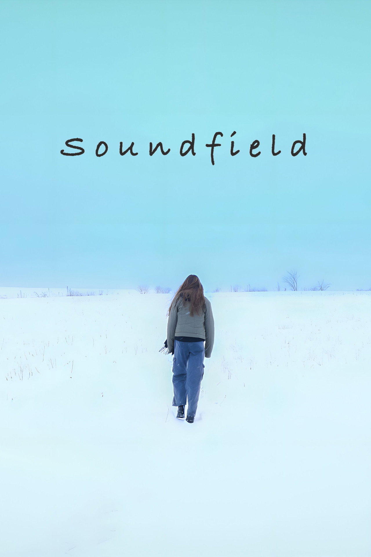 Soundfield poster