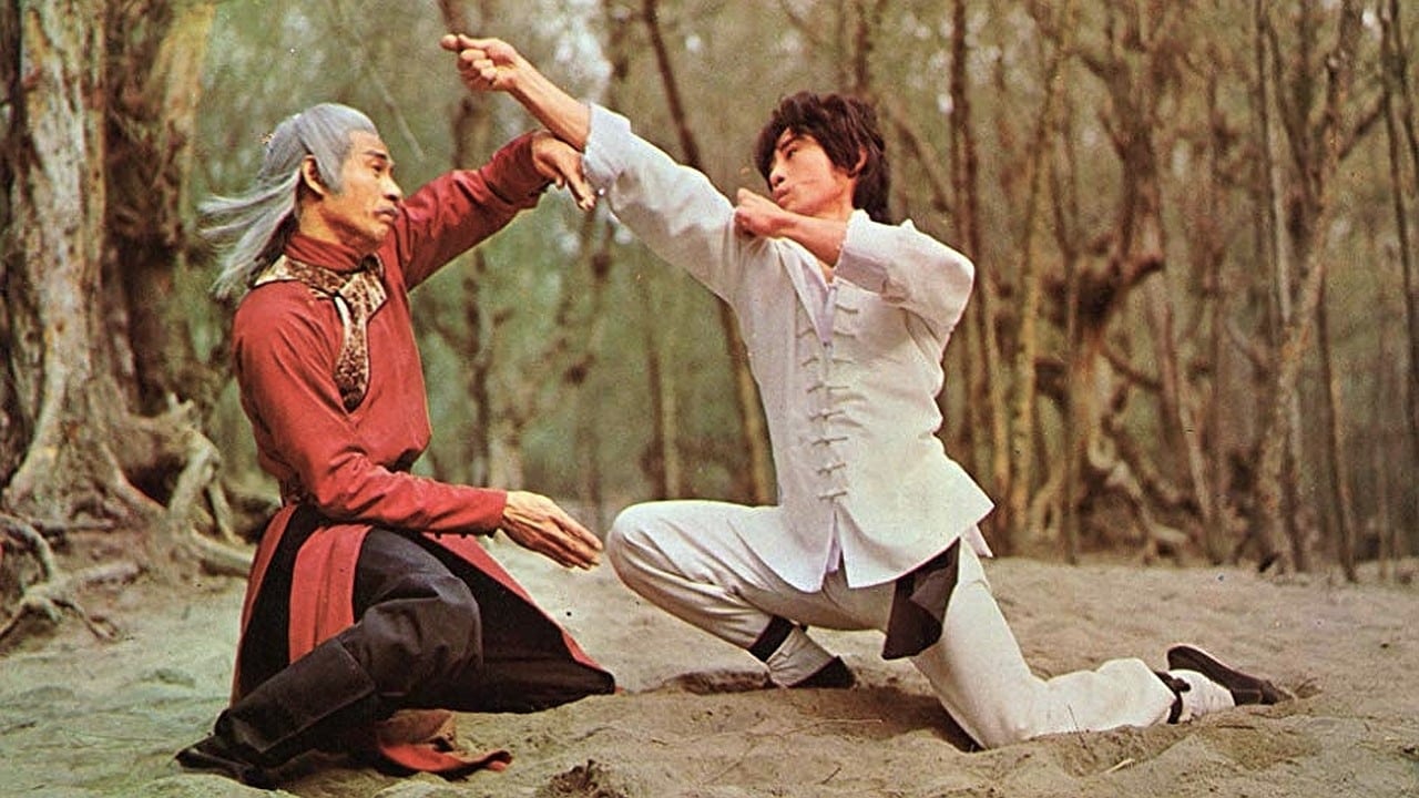 Scen från Shaolin Kung Fu Master