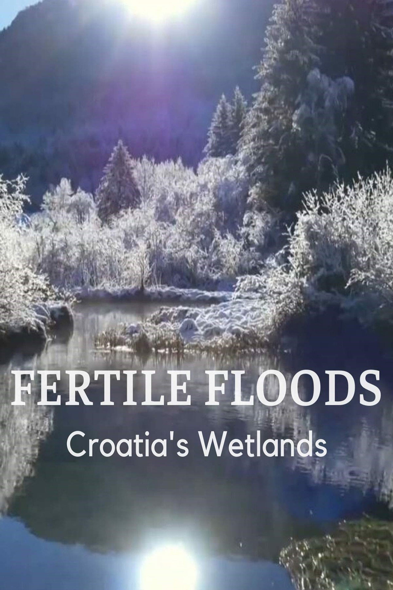 Kroatiens Auenland filmaffisch