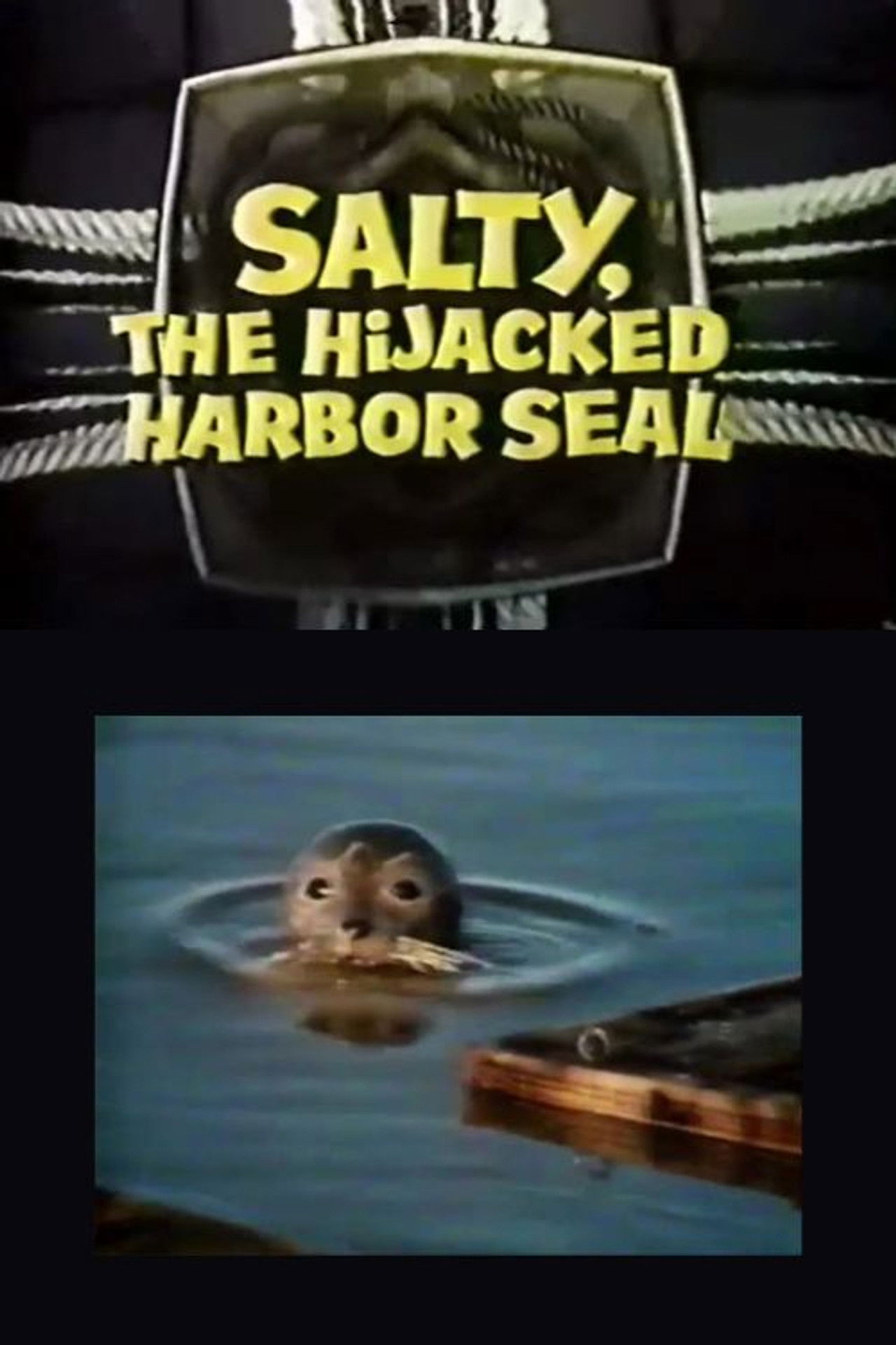 Salty, the Hijacked Harbor Seal poster