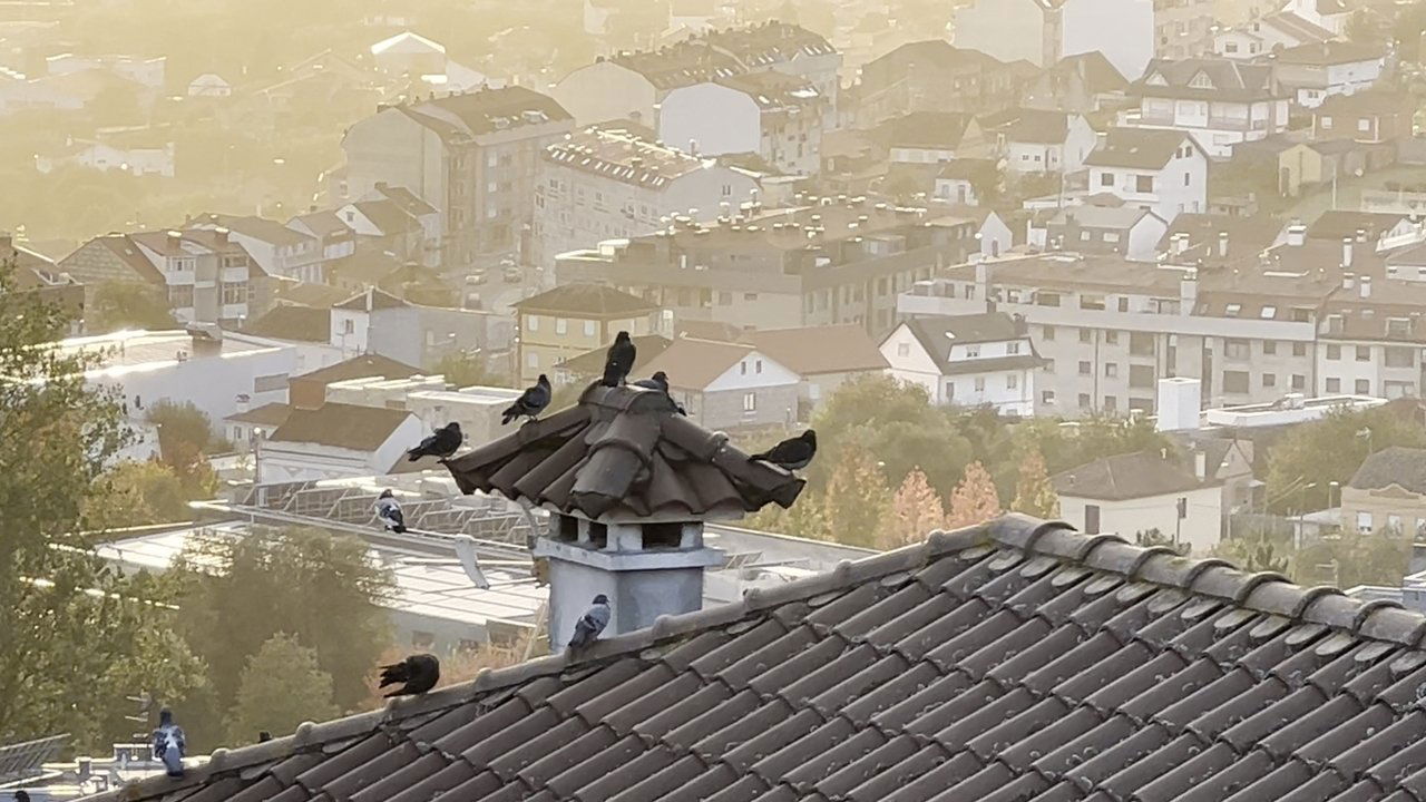 title image