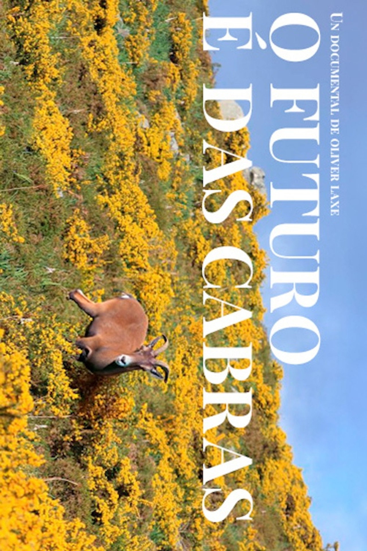 O futuro é das cabras filmaffisch