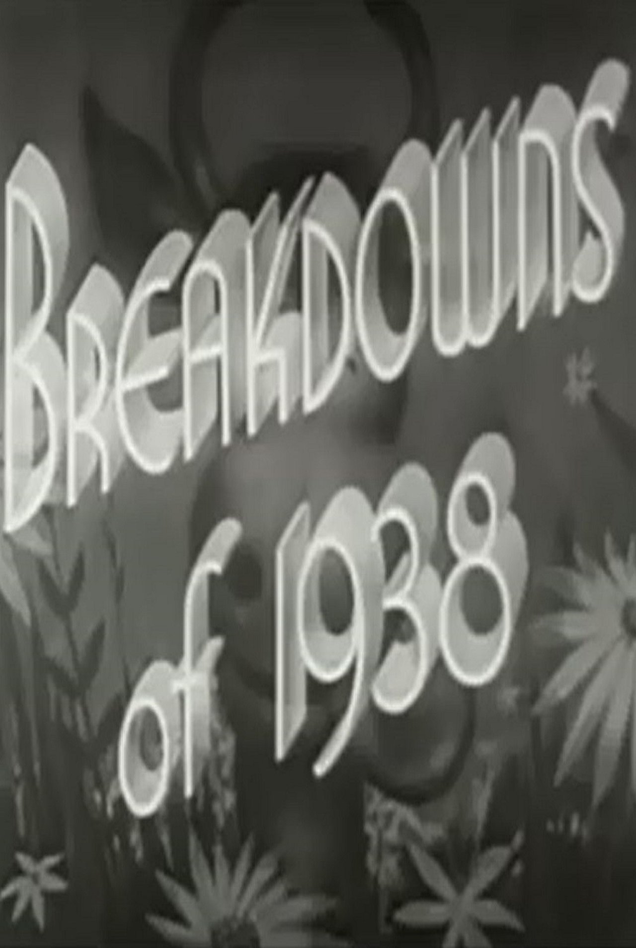 Breakdowns of 1938 Breakdowns of 1938