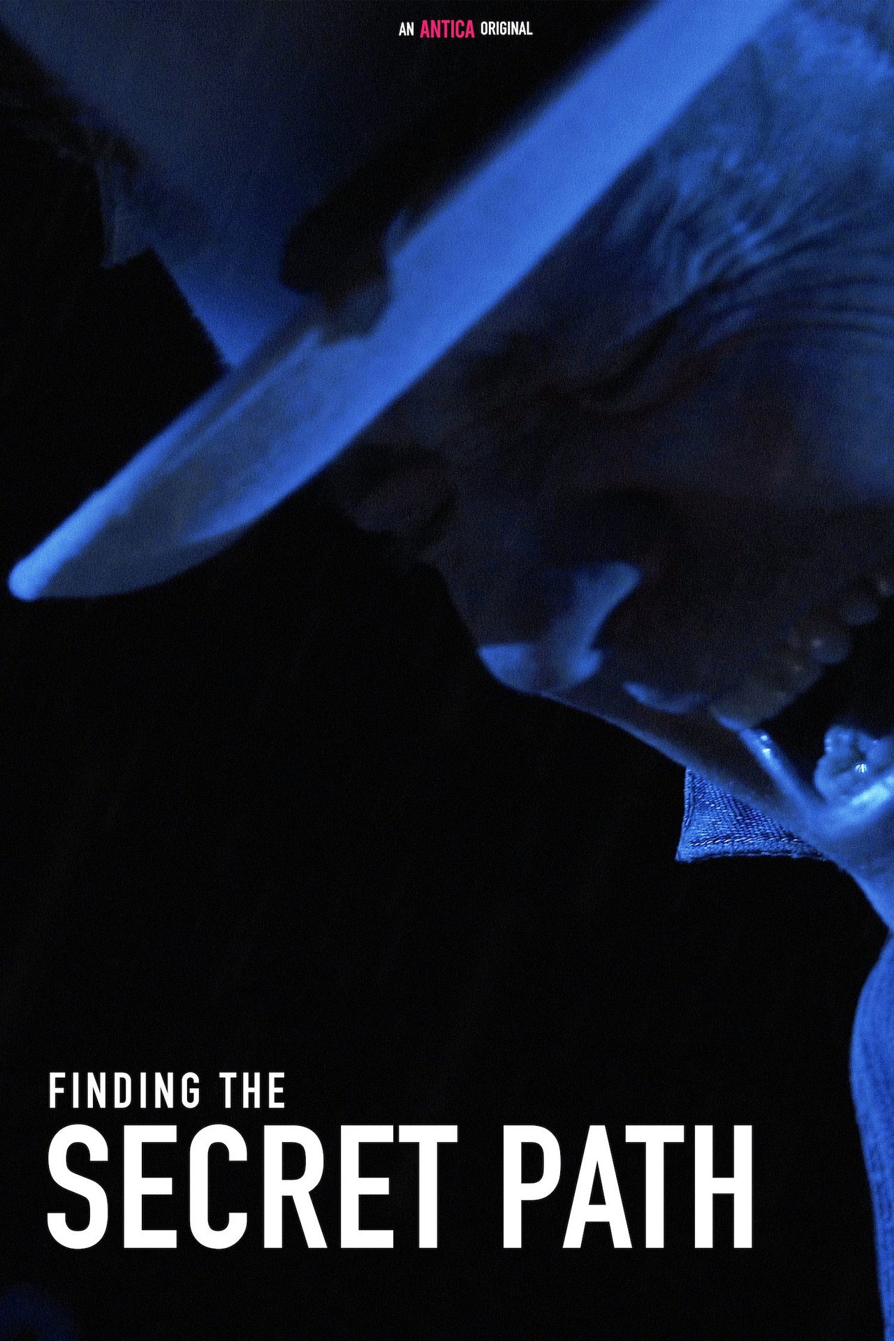 Finding the Secret Path Backdrop