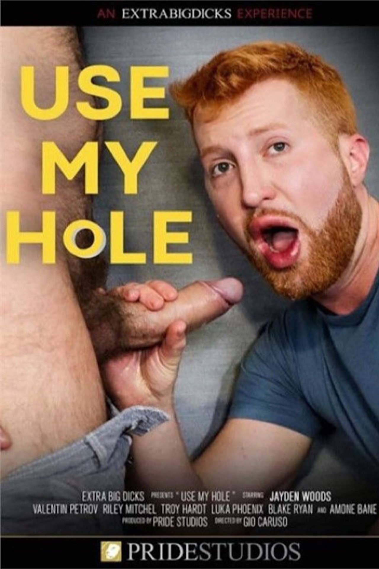 Use My Hole filmaffisch