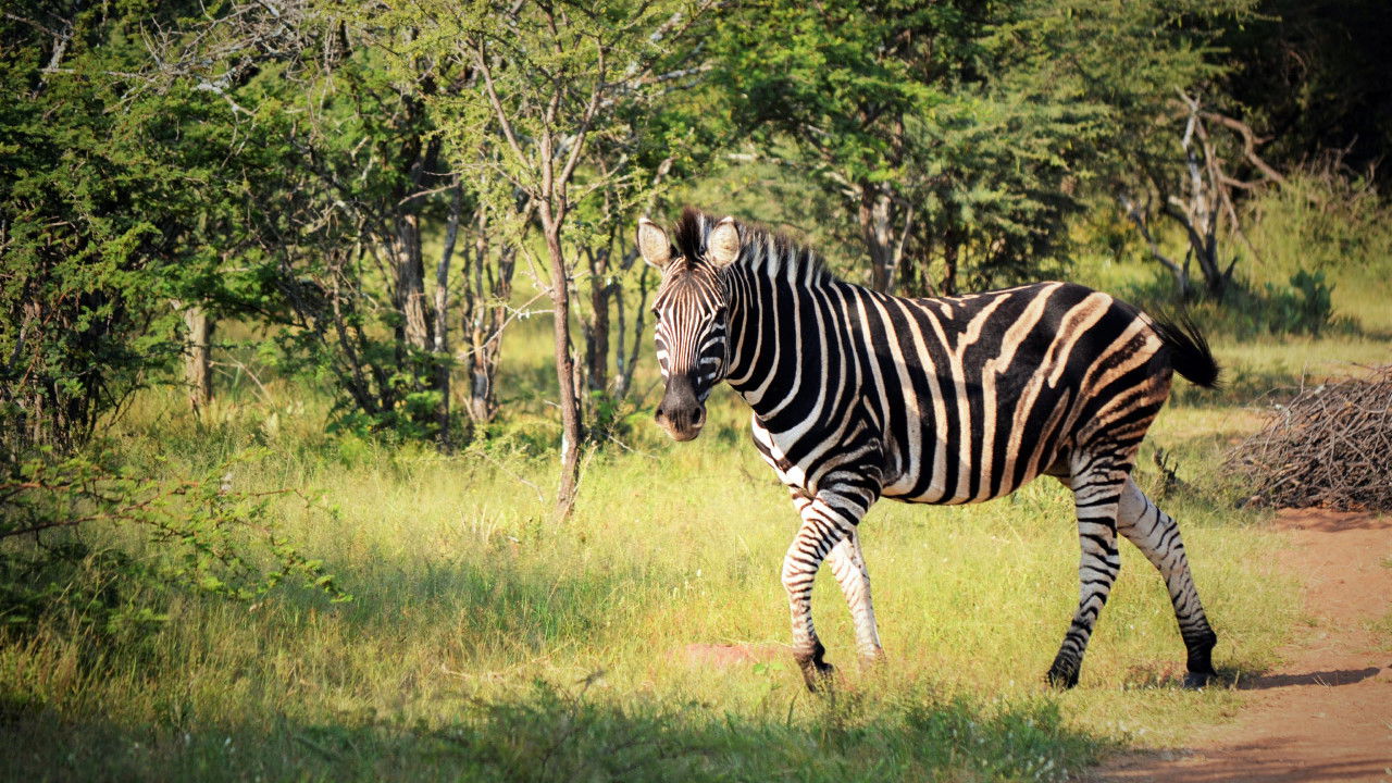 Na cestě — Épisode 26